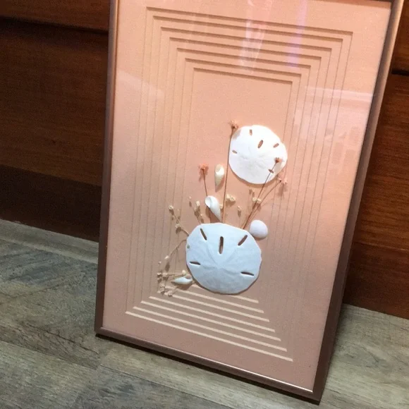Vintage Framed Sand Dollars & Dried Flower Wall Art in a Pink Metal Frame - Picture 10 of 17